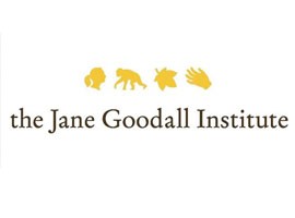 Jane Goodall's Wild Chimpanzees