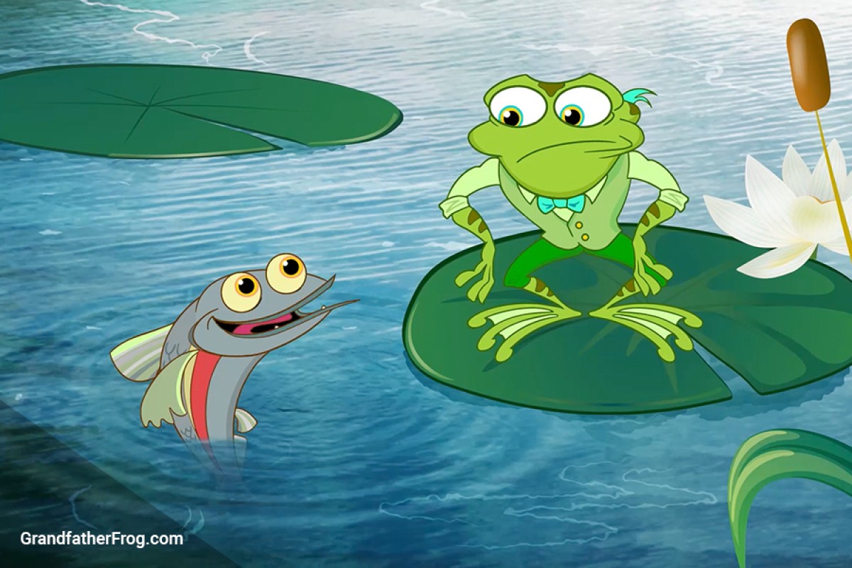 Protecting the Redside Dace: A Water Wonderful World Adventure series image